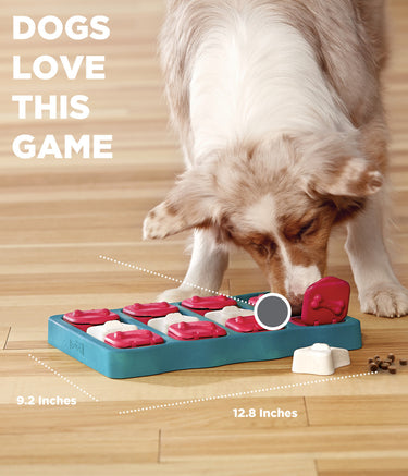 Outward Hound Brick Puzzle - Level 2
